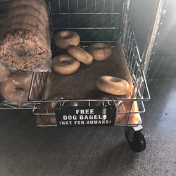 Blazing Bagels - Free dog bagels! What a thoughtful touch.
