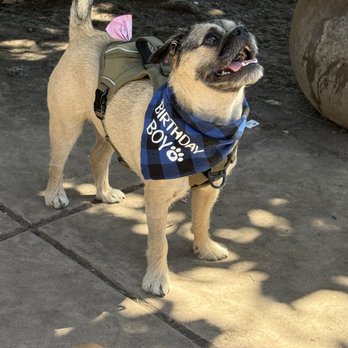 Drigon Dog Park - Dog Parks Near Me - Union City, California Drigon Dog Park - Dog Parks Near Me - Union City, California