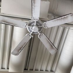Dirty ceiling fans