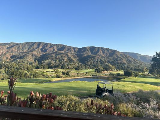 Zaidee's Bar and Grill by null