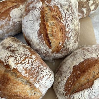 Curcio Bakery & Cafe - Coffee & Tea Near Me - Glen Cove, New York Curcio Bakery & Cafe - Coffee & Tea Near Me - Glen Cove, New York