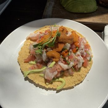 Holbox - Tostada de Kanpachi + Uni - DELICIOUS - Latin American Near Me - Los Angeles, California