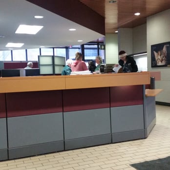 UW Veterinary Care - Front desk - Veterinarians Near Me - Madison, Wisconsin