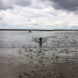 Avalon's Kayak Beach - Best place to exercise the dogs!