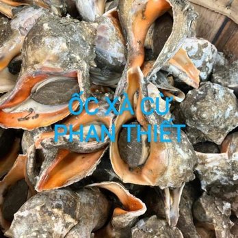 Phan Thiet Oriental Market - Fresh seafood - Grocery Near Me - Carol Stream, Illinois Phan Thiet Oriental Market - Fresh seafood - Grocery Near Me - Carol Stream, Illinois