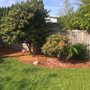 Photo of Guardian Landscape