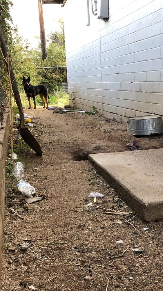 Tucson Management - property management company in Tucson, AZ