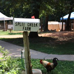 Mailbox with "Split Creek Farm" written on the side and rooster nearby.