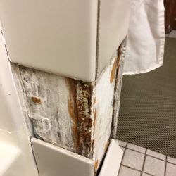 Bellingham Athletic Club - One of the loverly shower stalls