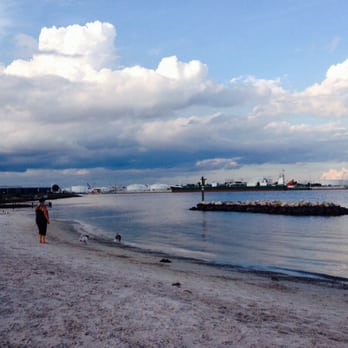 Davis Island Dog Beach - Perfect day. - Dog Parks Near Me - Tampa, Florida Davis Island Dog Beach - Perfect day. - Dog Parks Near Me - Tampa, Florida