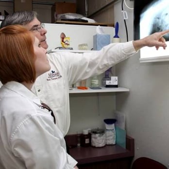 Northside Veterinary Clinic, PC - Dr. Thompson and Dr. Jewell - Veterinarians Near Me - Taylorville, Illinois Northside Veterinary Clinic, PC - Dr. Thompson and Dr. Jewell - Veterinarians Near Me - Taylorville, Illinois