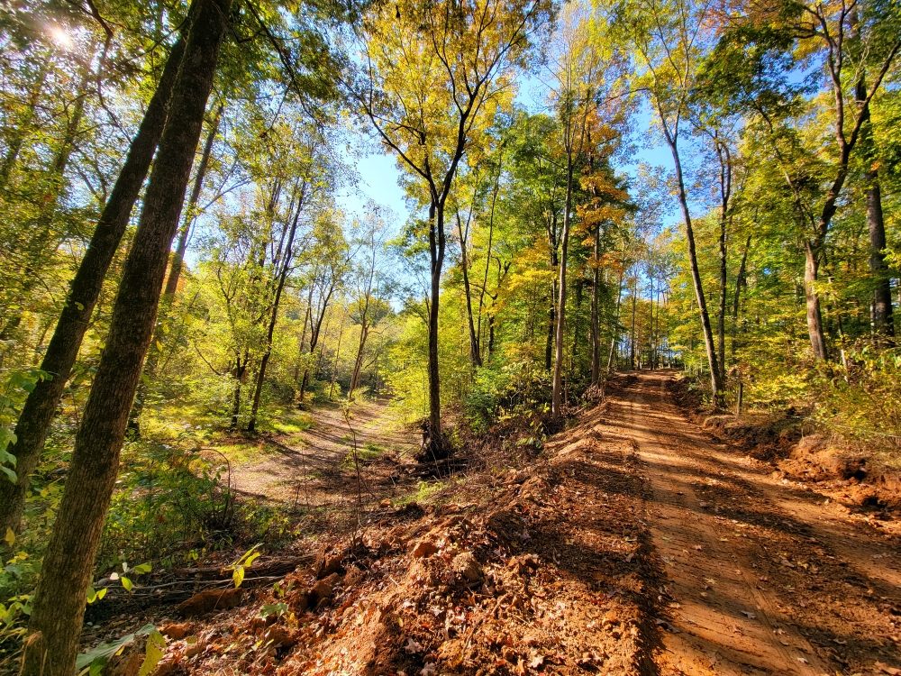 Slide of 13 Moons Grading