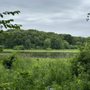 Palos Forest Preserves