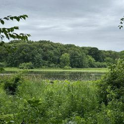 Palos Forest Preserves