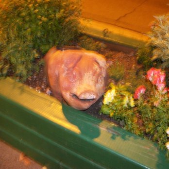 The Pig Out Inn Barbeque - Pig in the garden. - Barbeque Near Me - Natchez, Mississippi The Pig Out Inn Barbeque - Pig in the garden. - Barbeque Near Me - Natchez, Mississippi