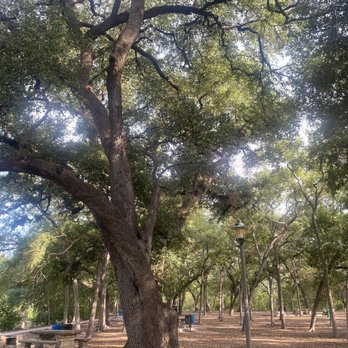 Brackenridge Park - Parks Near Me - San Antonio, Texas