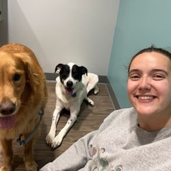 Evergreen Veterinary Care - Ozzie's first wellness visit. Trotwood the golden just tags along as emotional support doggo!