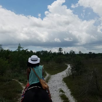 Sunshine Riding Trails - Horseback Riding Near Me - Chipley, Florida