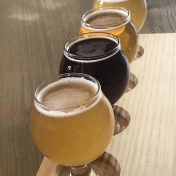 Yard Owl Beer - a row of beer glasses - Breweries Near Me - New Paltz, New York