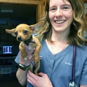 All Creatures Veterinary Clinic - Dr Amy Flom - Veterinarians Near Me - Minocqua, Wisconsin All Creatures Veterinary Clinic - Dr Amy Flom - Veterinarians Near Me - Minocqua, Wisconsin