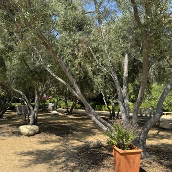 Arlington Garden in Pasadena - Botanical Gardens Near Me - Pasadena, California Arlington Garden in Pasadena - Botanical Gardens Near Me - Pasadena, California