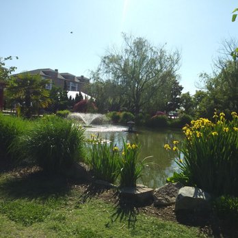Pagoda & Garden Foundation - Parks Near Me - Norfolk, Virginia Pagoda & Garden Foundation - Parks Near Me - Norfolk, Virginia