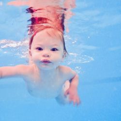 Sierra Swim Academy 