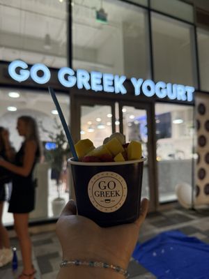 Go Greek Yogurt by null