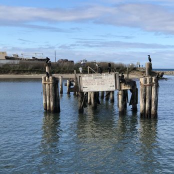 Blue Ocean Whale Watch - Whale Watching Tours Near Me - Moss Landing, California