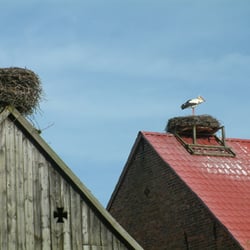 Storchendorf Rühstädt