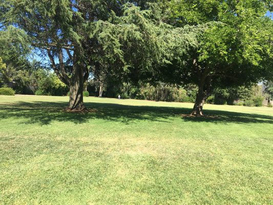 Jenny Strand Park by null