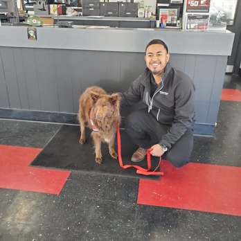 Big O Tires - Animal friendly environment - Tires Near Me - Placerville, California