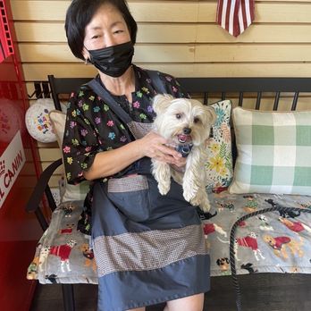 Ooh Puppy - Freshly groomed Good Boy - Pet Groomers Near Me - La Mirada, California
