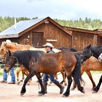 M Lazy C Ranch - Horseback Riding Near Me - Lake George, Colorado M Lazy C Ranch - Horseback Riding Near Me - Lake George, Colorado
