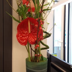 Blumen & Ideen - Blumenstrauß KW 19.2016 Richtig toll!