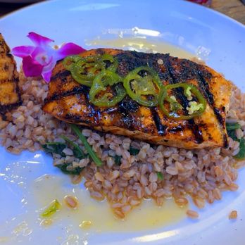 iTzcali Tapas and Tequila - Honey Glazed Salmon - Beer Bar Near Me - Wichita, Kansas iTzcali Tapas and Tequila - Honey Glazed Salmon - Beer Bar Near Me - Wichita, Kansas