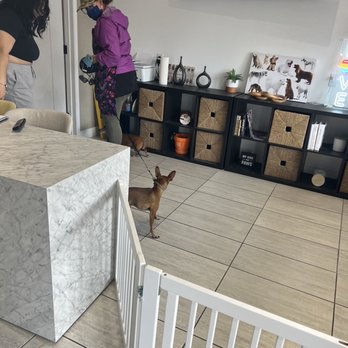Magic Pet Spa - Pet Groomers Near Me - Irvine, California Magic Pet Spa - Pet Groomers Near Me - Irvine, California
