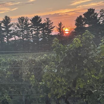 Elk Run Vineyards - Wineries Near Me - Mt Airy, Maryland Elk Run Vineyards - Wineries Near Me - Mt Airy, Maryland