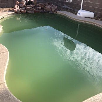 J Pool Service - Before - Pool Cleaners Near Me