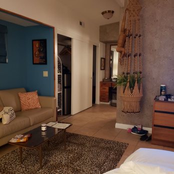 The Monkey Tree by AvantStay - Jungle room - Hotels Near Me - Palm Springs, California The Monkey Tree by AvantStay - Jungle room - Hotels Near Me - Palm Springs, California