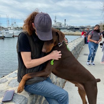 Off Leash K9 Training  - Jennifer and Rex - Pet Training Near Me - Murrieta, California