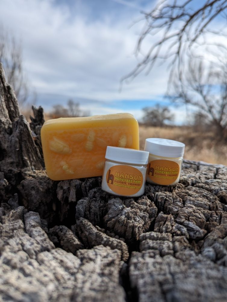 Hanson Honeybee Logo