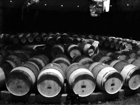 Boxwood Estate Winery by null
