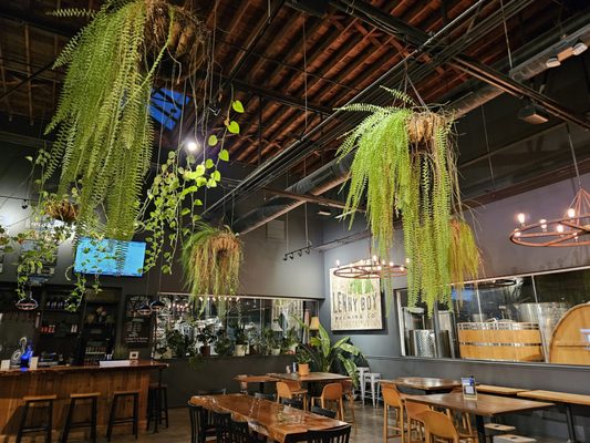 Lenny Boy Brewing Co. by null