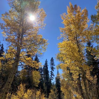 Marlette lake trail - Hiking Near Me