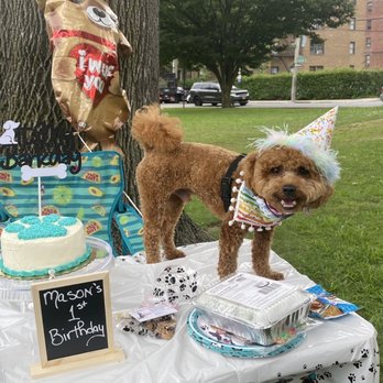 Cleo's Barkery - Bakeries Near Me - Scarsdale, New York