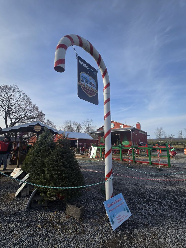 Social spots from Beck Tree Farms