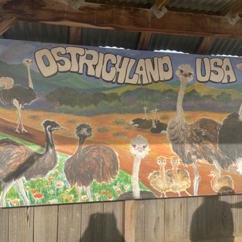 Ostrichland USA - Attraction Farms Near Me - Solvang, California