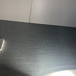 Bugs all over room and hall