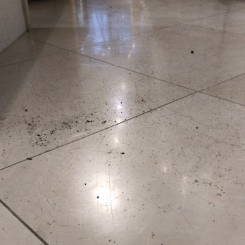 California Closets - Chicago - Almost every morning like this for two months! - Interior Design Near Me - Chicago, Illinois